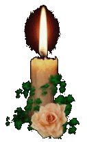 VELA